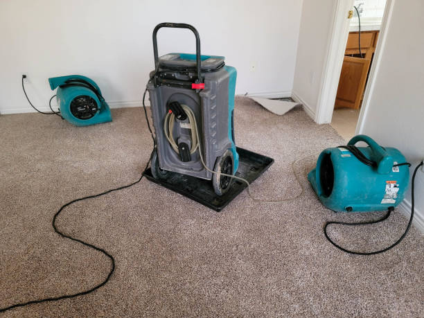 Best Flooded house restoration  in La Pine, OR