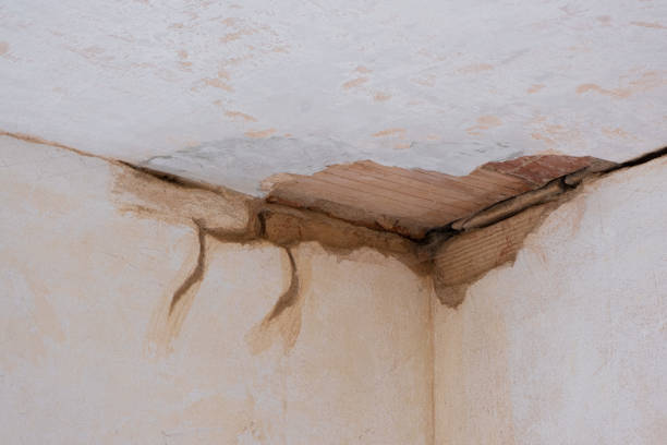 Best Water damage mitigation services  in La Pine, OR