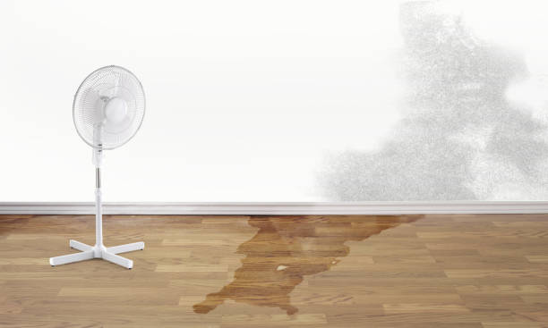 Carpet water damage restoration in La Pine, OR