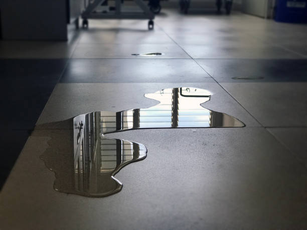 Best Professional water damage repair  in La Pine, OR