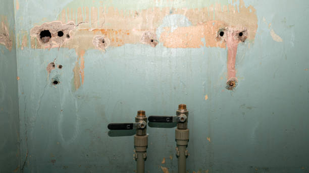 Best 24-hour water damage restoration  in La Pine, OR