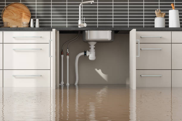 Best Water damage restoration process  in La Pine, OR