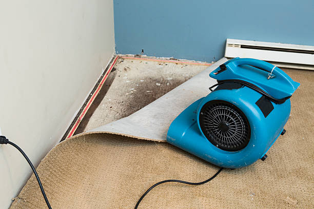 Best Commercial water damage restoration  in La Pine, OR