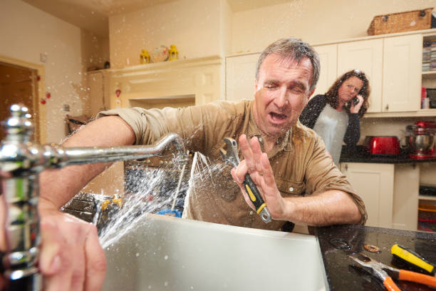 Best Mold removal after water damage  in La Pine, OR